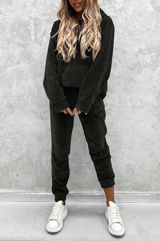 Velour Solid Color Hoodie Long Pants Sets